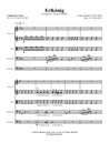Franz Schubert's Erlkönig. Arranged for String Ensemble